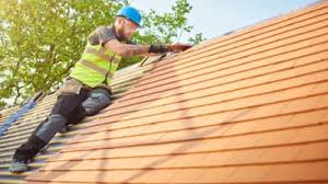 Best Roof Moss and Algae Removal  in Shelley, ID